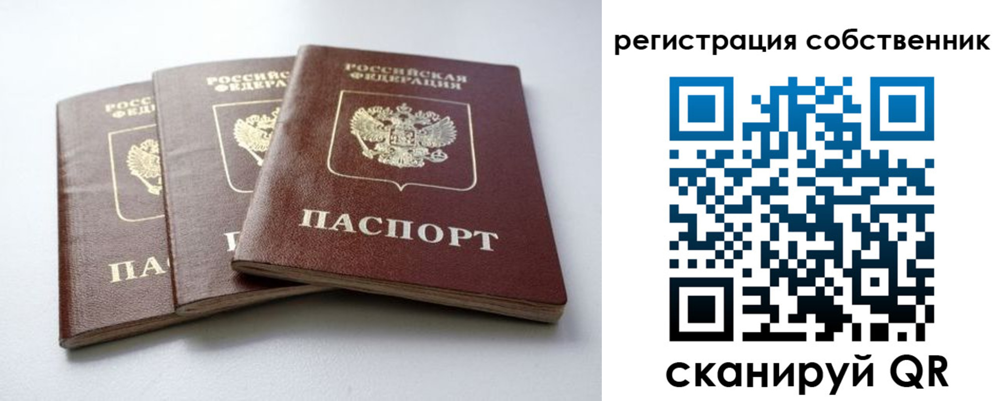 прописка для школы в Сланцах